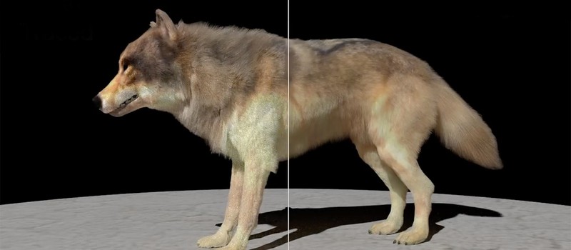 ИИ создает реалистичную CG-шерсть животных
