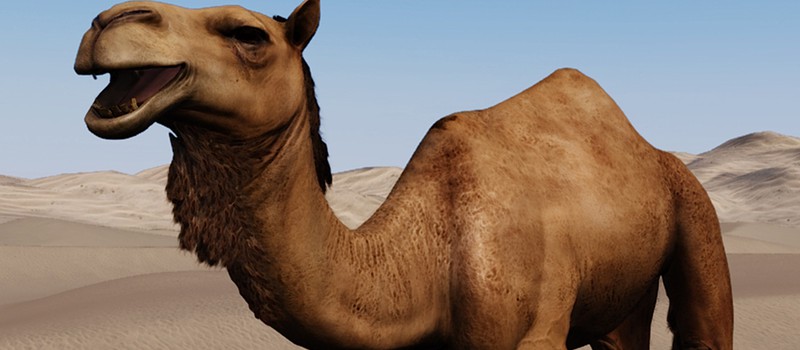 Разработчики Mount & Blade 2: Bannerlord рассказали о создании верблюдов