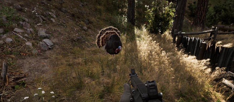 Ubisoft понерфила индюков Far Cry 5, потому что они были слишком сильными
