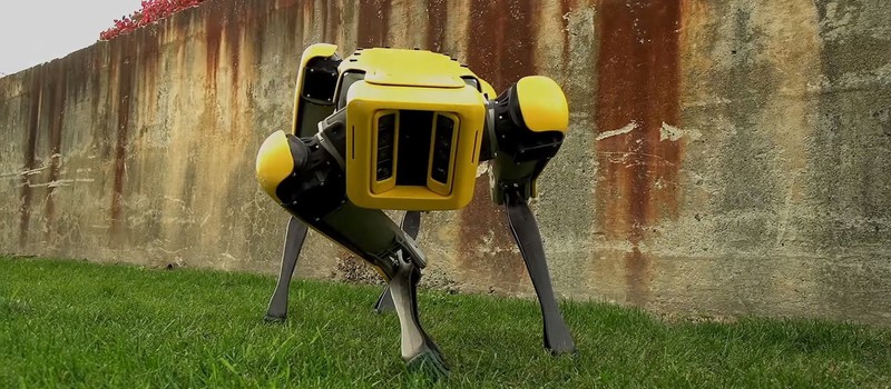 Boston Dynamics начнет продавать своих роботов-собак в 2019 году