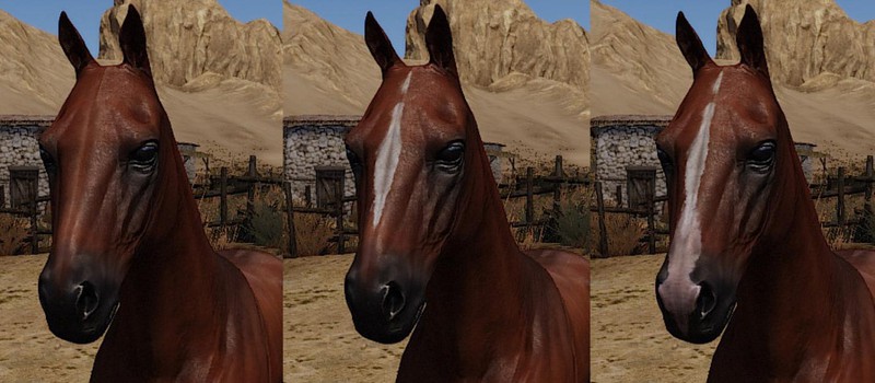 Разработчики Mount & Blade 2: Bannerlord рассказали о разных видах лошадей