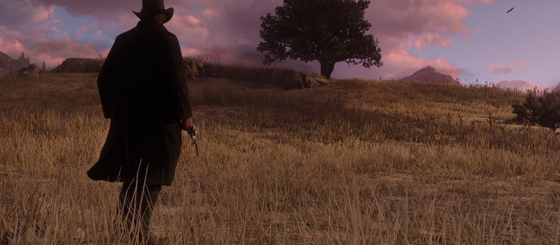 Rockstar предлагает сыграть в GTA Online даже в бонусах за предзаказ Red Dead Redemption 2