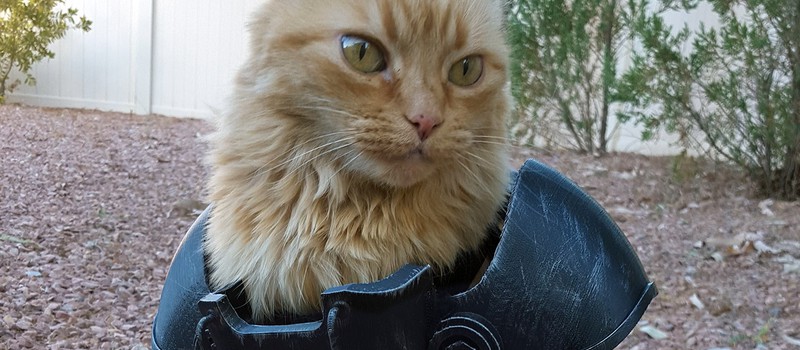 Геймер сделал силовую броню из Fallout для своей кошки