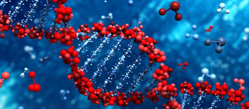 В Японии готовятся начать генную модификацию людей