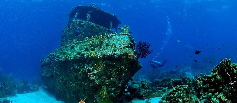 В Чёрном море обнаружили останки греческого торгового корабля