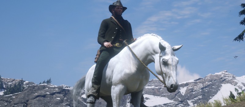 Лучшая дикая лошадь в Red Dead Redemption 2