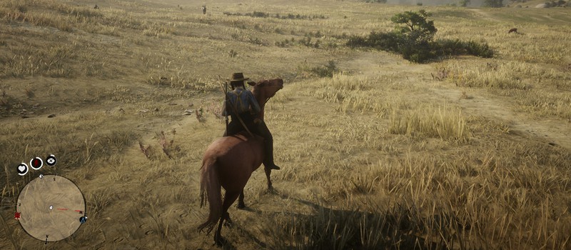 Гайд по лошадям в Red Dead Online (лучшие скакуны)