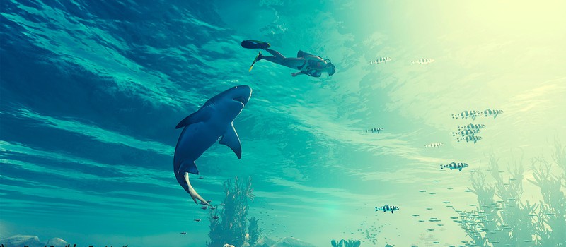 Симулятор акулы выйдет эксклюзивно в магазине Epic Games