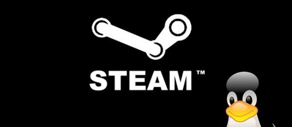 Стартовала закрытая бета Steam для Linux