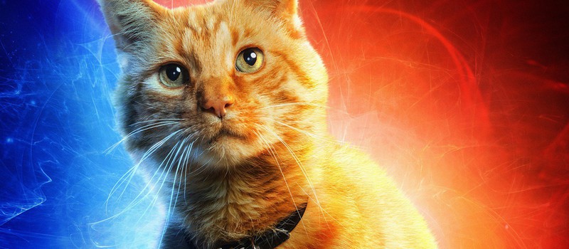 Сэмюэл Л. Джексон рассказал о работе с котом из фильма "Капитан Марвел"