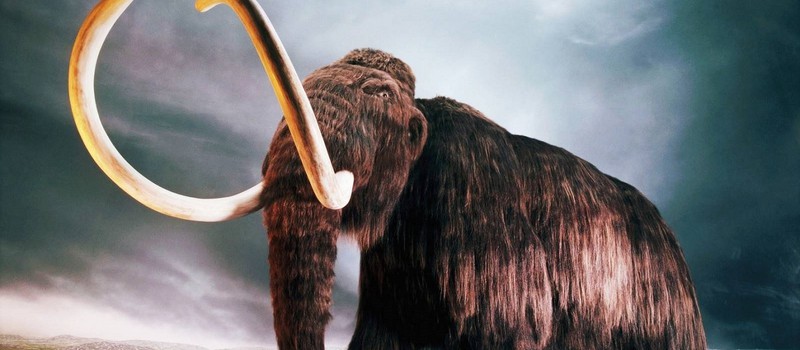 Ученые из России и Японии могут вернуть вид древнего мамонта к жизни