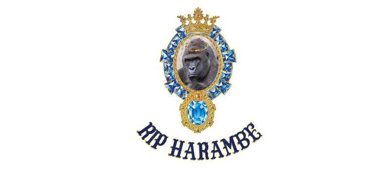 Илон Маск записал рэп про гориллу Харамби