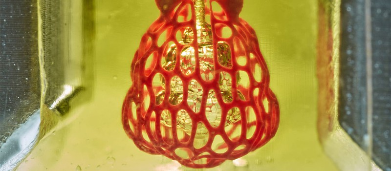 Биоинженеры напечатали на 3D-принтере комплексные сети сосудов