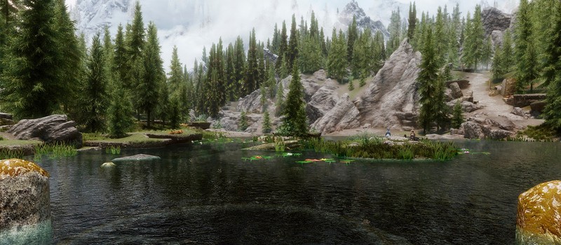 Мод для Skyrim добавляет реалистичное плавание и возможность утонуть