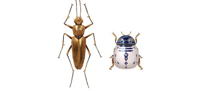 Что общего между жуками и "Звездными Войнами"? Выставка художника  Ричард Уилкинсона