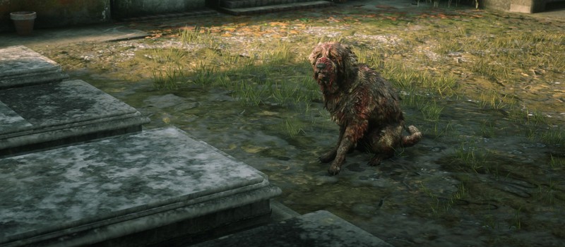 В Red Dead Online теперь можно гладить собак