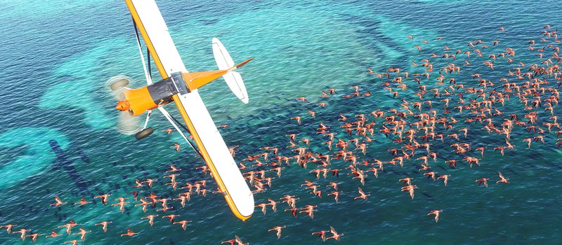 После новых геймплейных роликов Microsoft Flight Simulator 2020 вам захочется летать