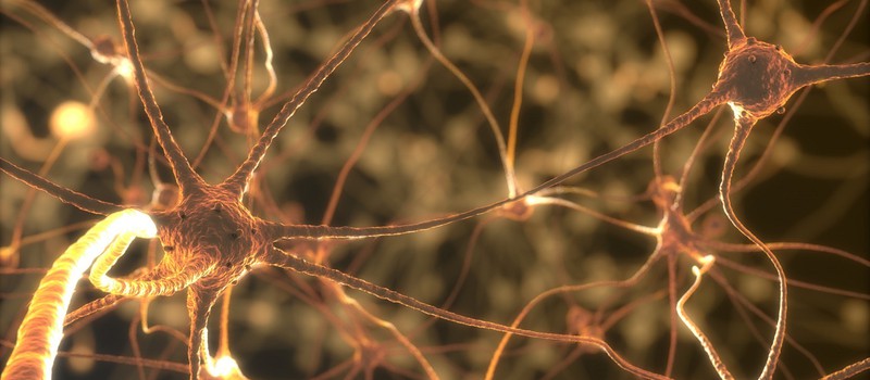 Intel хочет задействовать ИИ для восстановления поврежденных спинномозговых нервов
