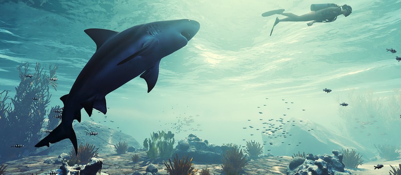 Непростая жизнь кровожадной акулы в дневнике разработчиков Maneater