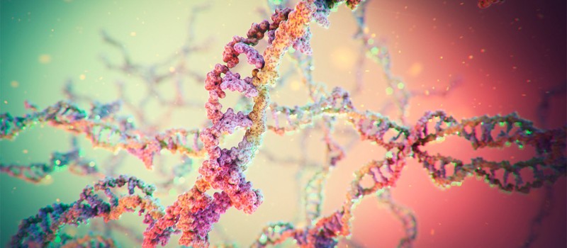ДНК оказалась лишь одной из миллиона возможных генетических молекул