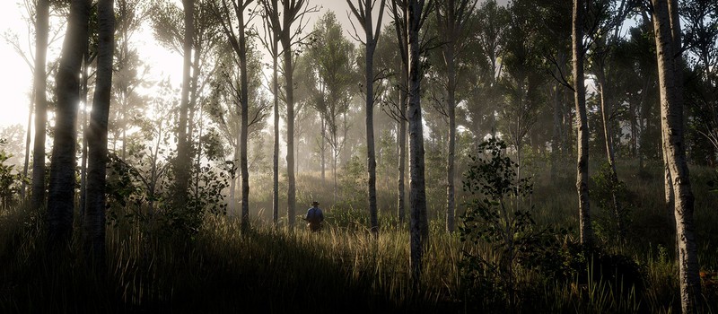 Моддер: VR-мод для Red Dead Redemption 2 маловероятен из-за слабого железа на рынке