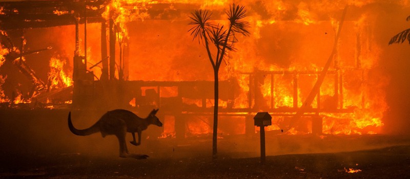 В Австралии настоящий апокалипсис — бушуют лесные пожары