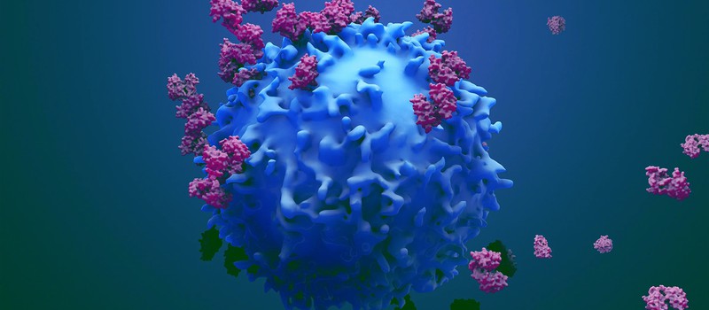 Британские ученые открыли иммунную клетку, способную убивать большинство видов рака