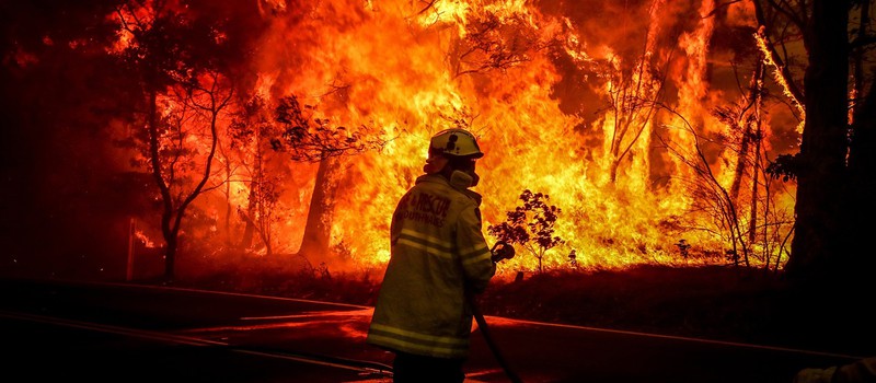 Bethesda проведет распродажу для помощи Австралии после пожаров