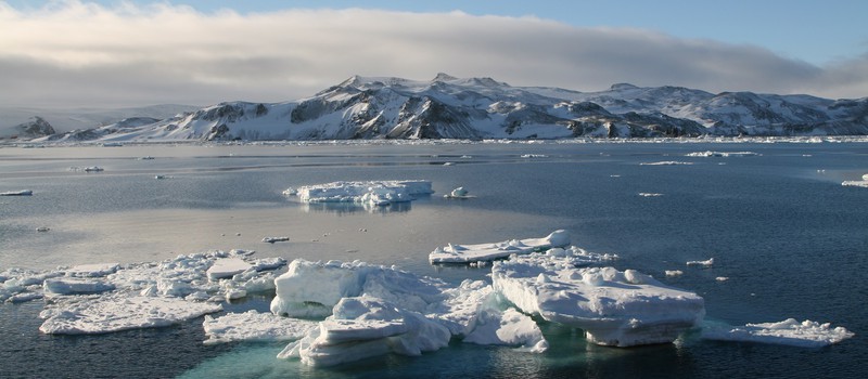 В Антарктике зафиксирована самая высокая температура за всю историю метеонаблюдений