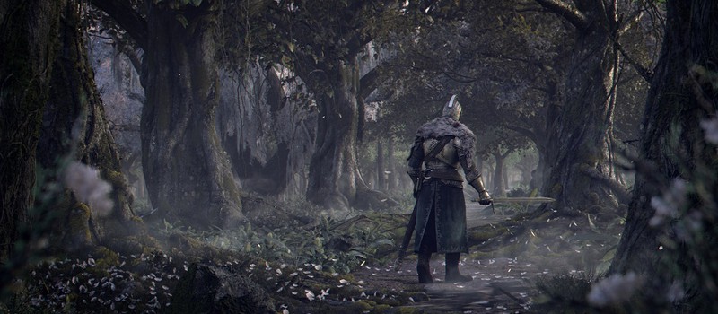 E3 2013: Геймплейный трейлер Dark Souls II