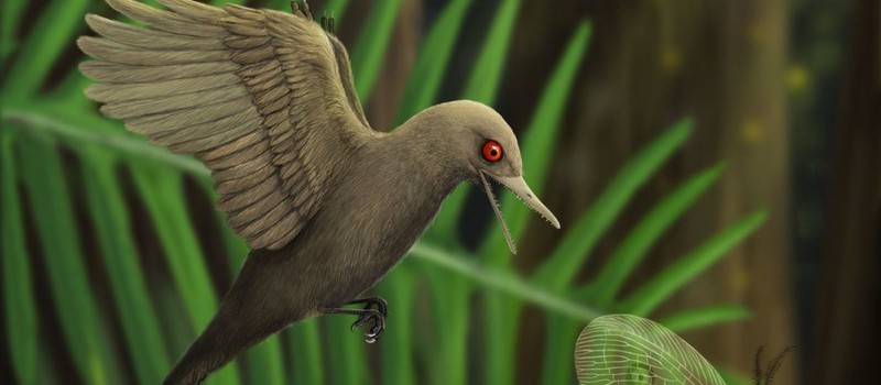 В янтаре нашли динозавра размером с колибри