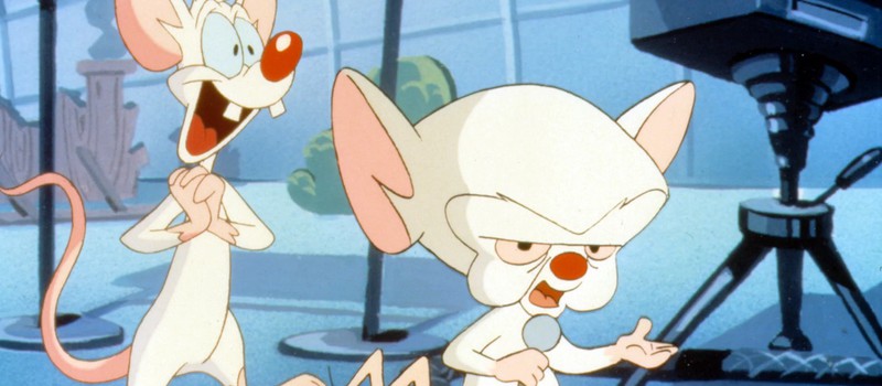 Warner Bros. готовит возвращение "Анимашек" с Пинки и Брейном