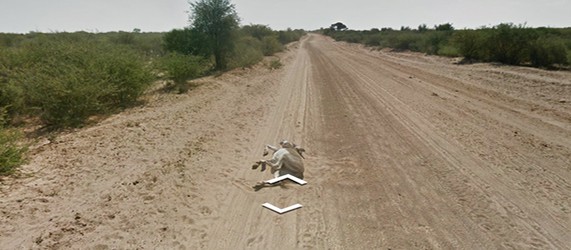 Самые необычные встречи Google Street View