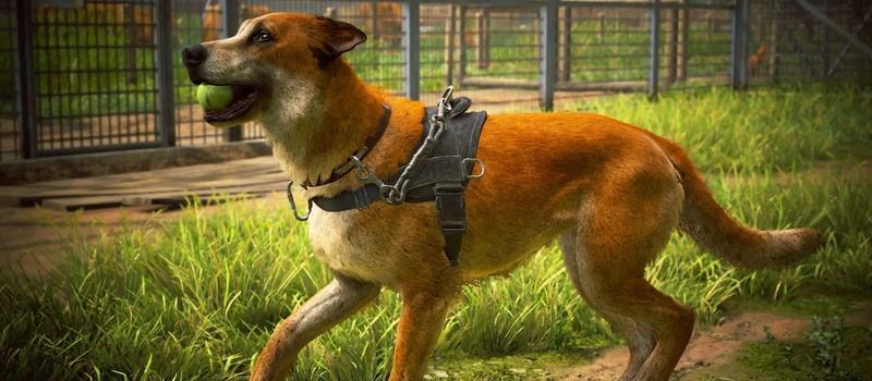 Polygon рассказало про ограничения от Sony для рецензентов The Last of Us 2