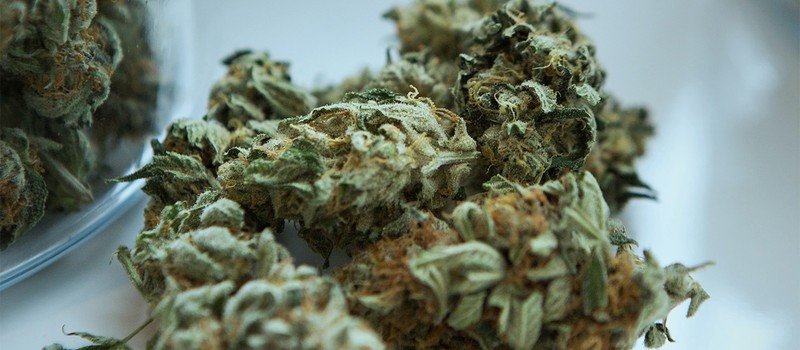 Палата Конгресса США проголосовала за декриминализацию марихуаны на федеральном уровне