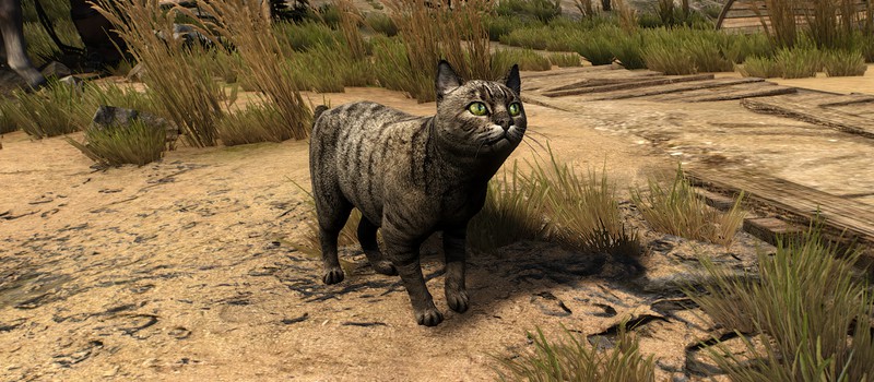 Улучшенные текстуры котиков, лошадей и пантер — для The Witcher 3 вышел новый мод