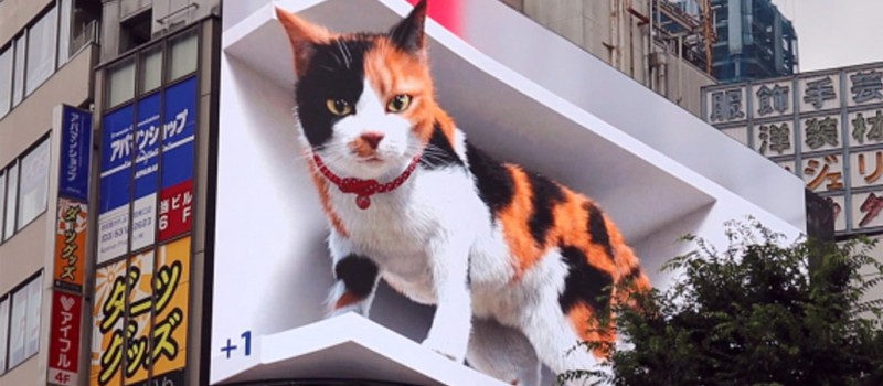На одной из улиц Токио появился огромный 3D-кот