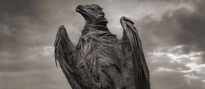 Art of Science: Озеро смерти превращает животных в статуи