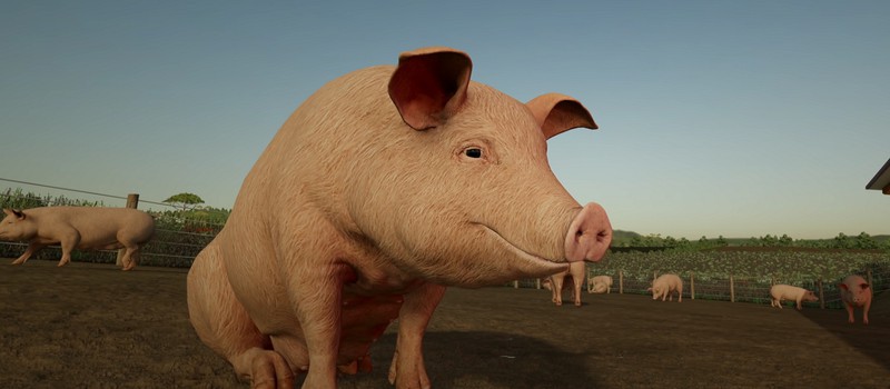 Коровы, свиньи и другие животные в трейлере Farming Simulator 22
