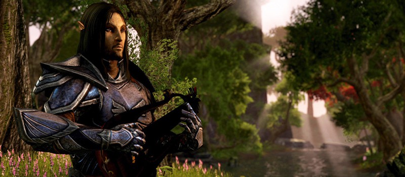 Кастомизация персонажей в The Elder Scrolls Online