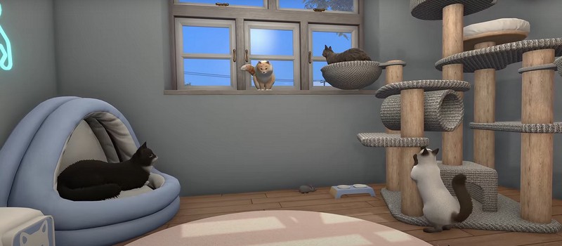 House Flipper получила дополнение с животными — теперь в игре можно гладить собак и котиков