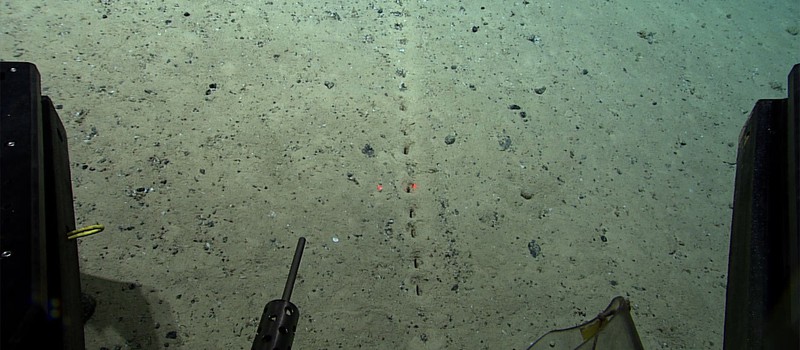 На дне океана обнаружены загадочные отверстия