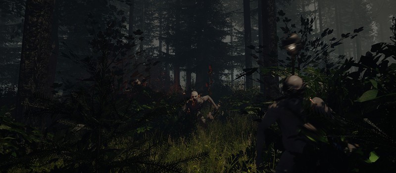 The Forest появится в Раннем Доступе Steam в ближайшие месяцы