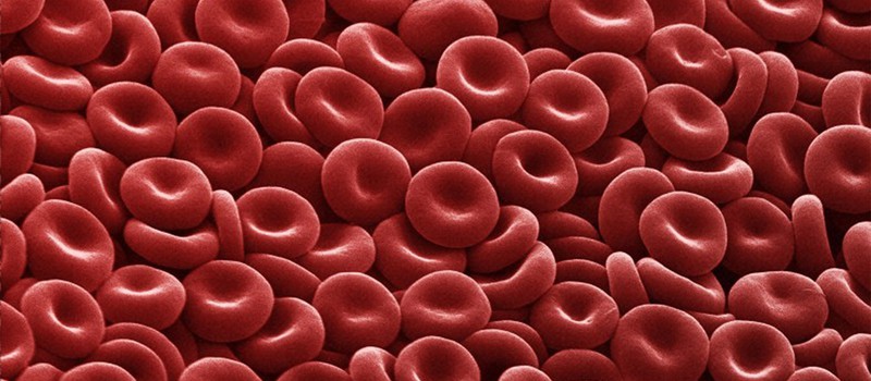 Людям впервые перелили выращенные в лаборатории клетки крови