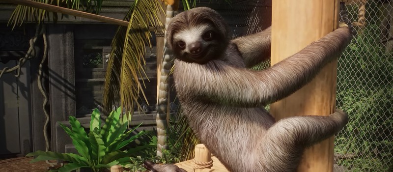 Пышные джунгли и милые ленивцы в трейлере дополнения Tropical Pack для Planet Zoo