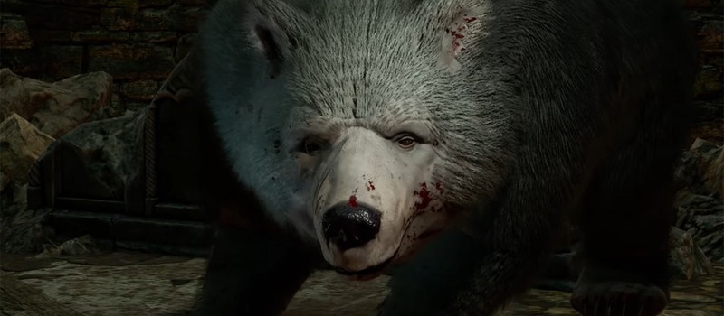 В Baldur’s Gate 3 можно заняться сексом с друидом, принявшим облик медведя