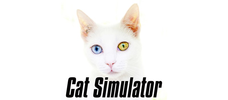 На Kickstarter запущен Симулятор Кота