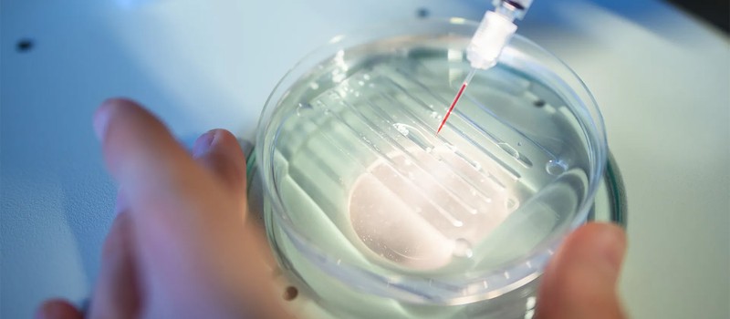 FDA впервые одобрила терапию на основе редактирования генов CRISPR