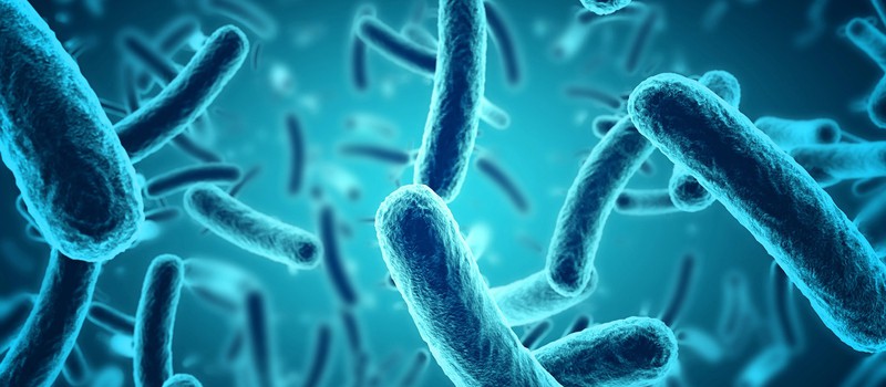 Швейцарские ученые обнаружили десятки новых видов бактерий