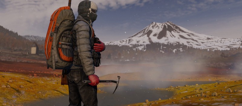 DayZ Frostline выйдет осенью — DLC добавит зимнюю карту и новые механики выживания